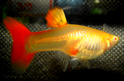 Clique aqui para ver as fotos no Picasa - a galeria de fotos do Google.